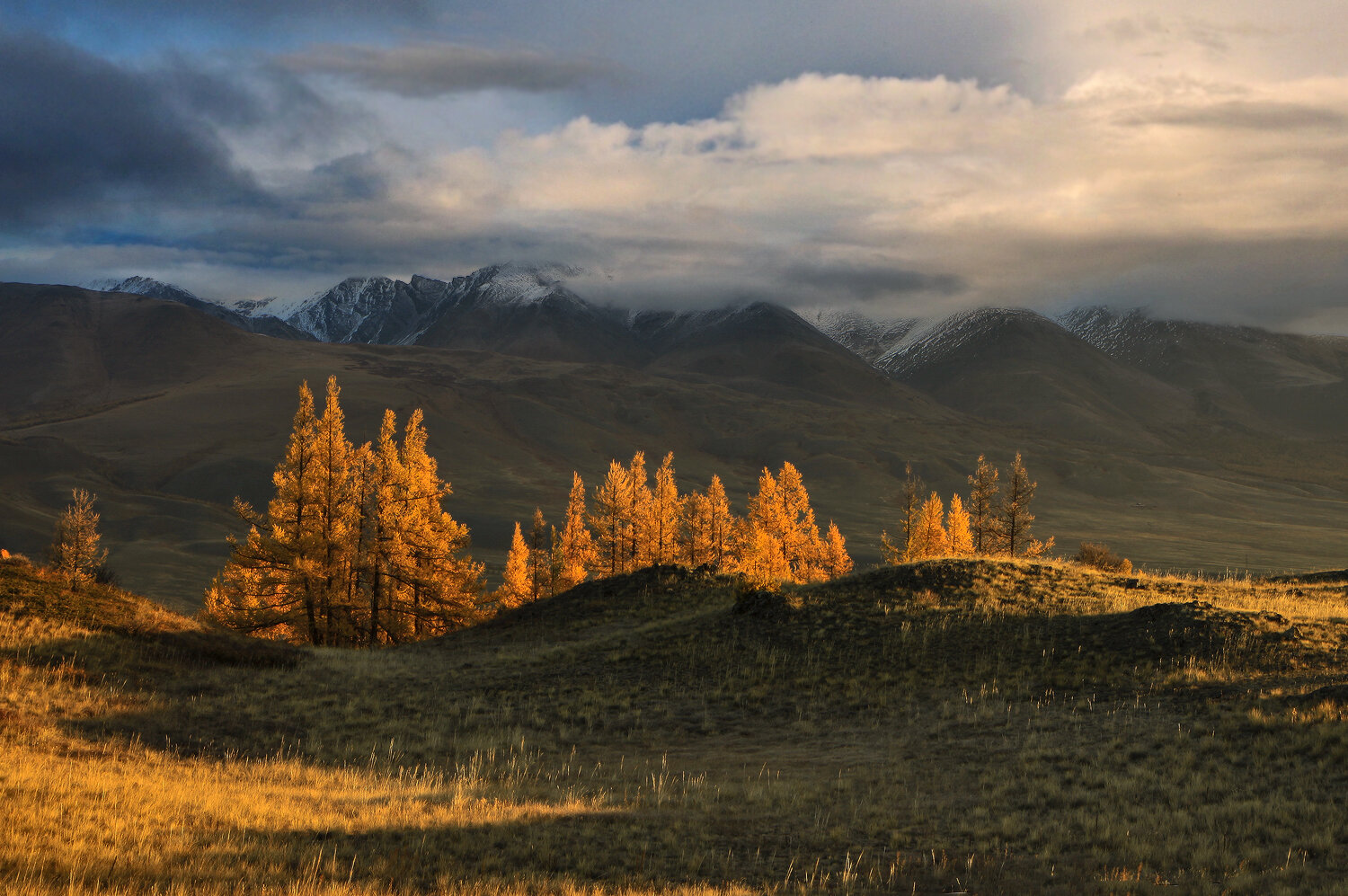 Photo #13996638