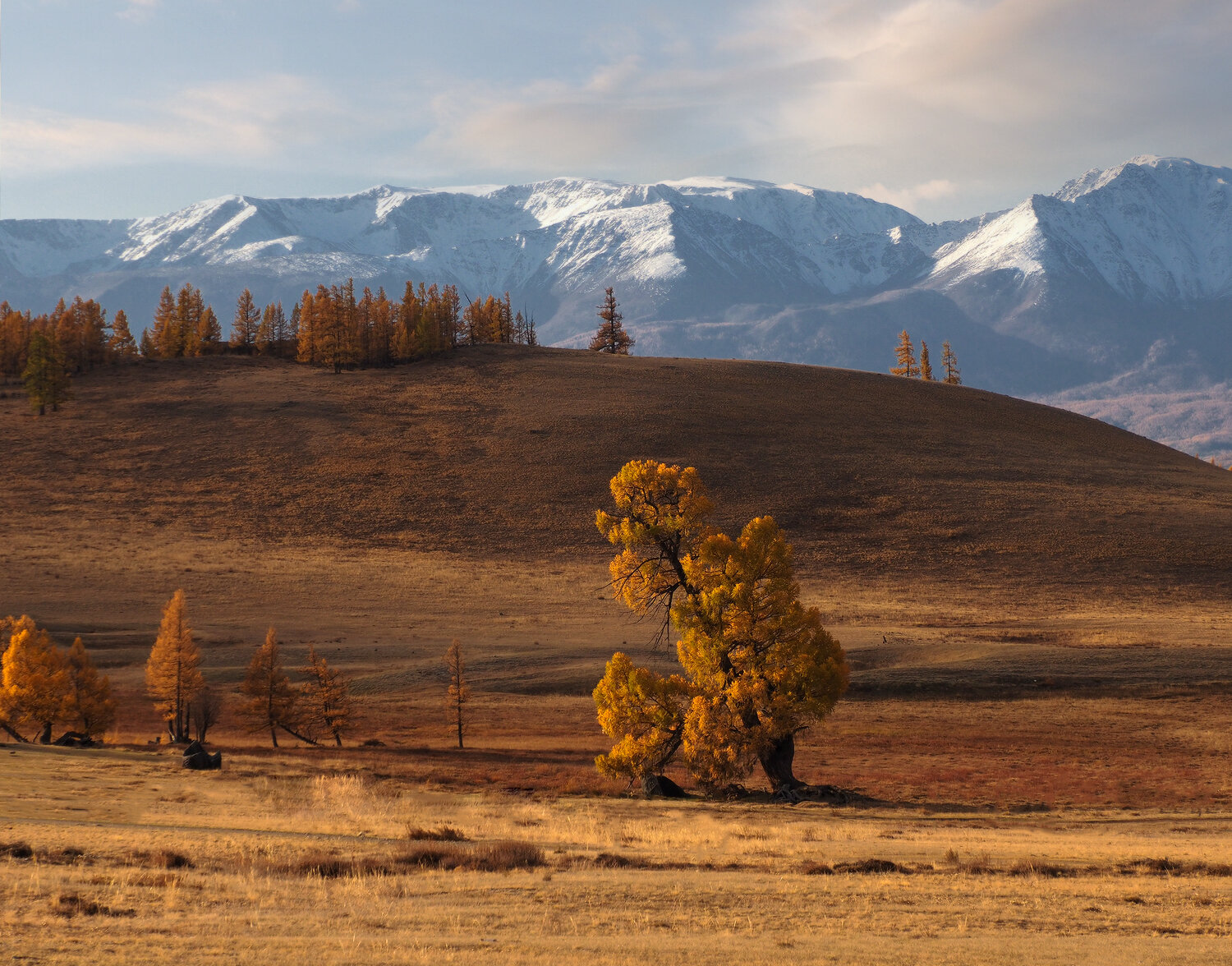 Photo #13996648
