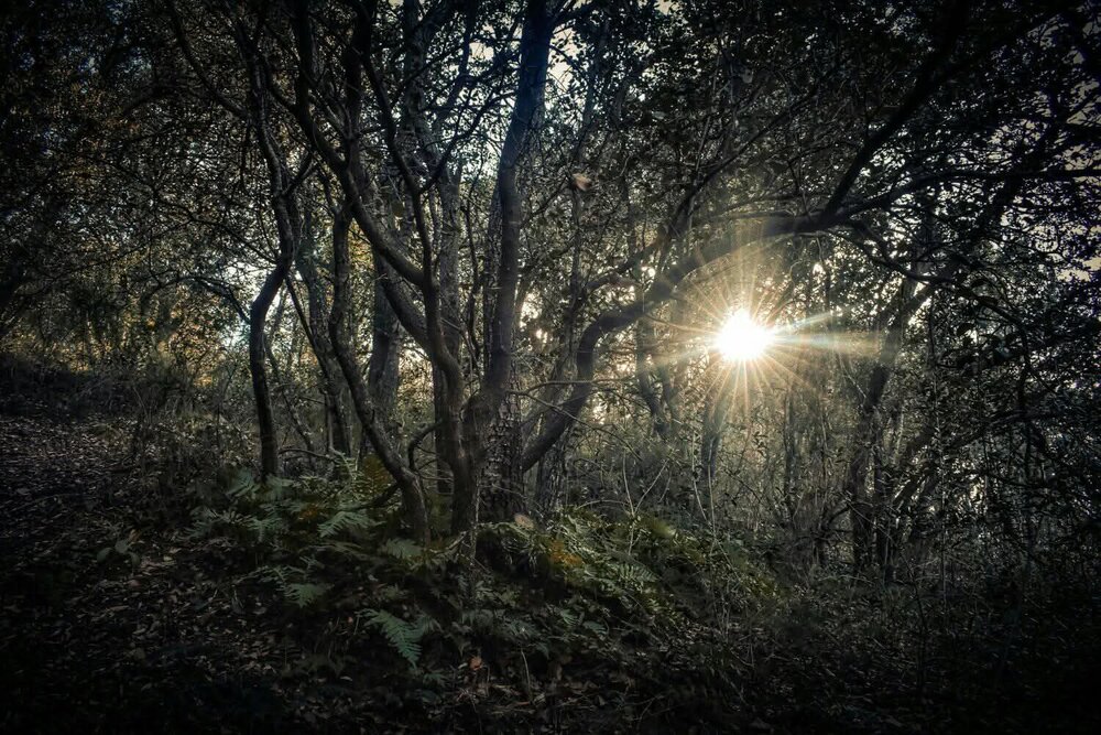 an unknown place