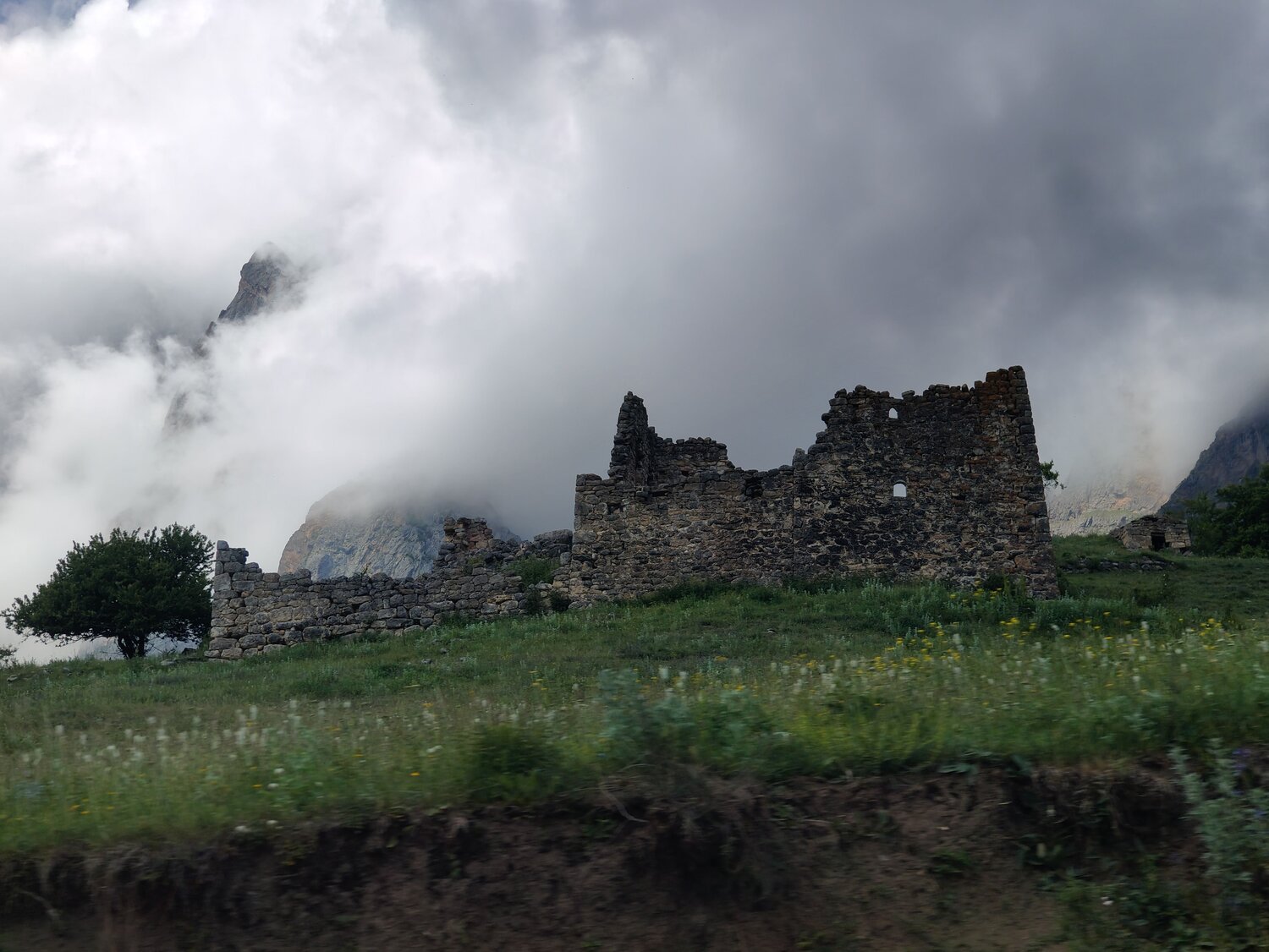 Photo #13996727
