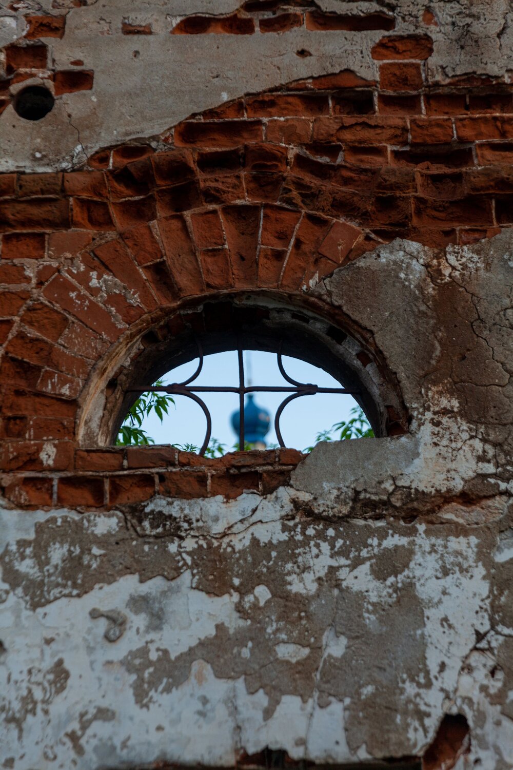 Photo #13996840