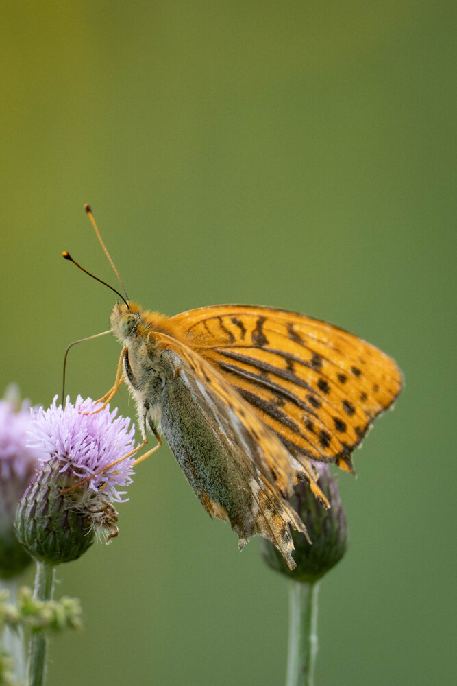 Photograph by Высотских Владимир
