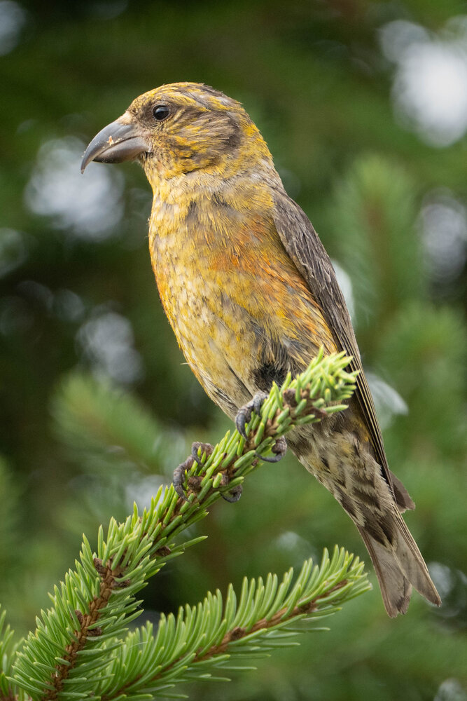 Photograph by Высотских Владимир