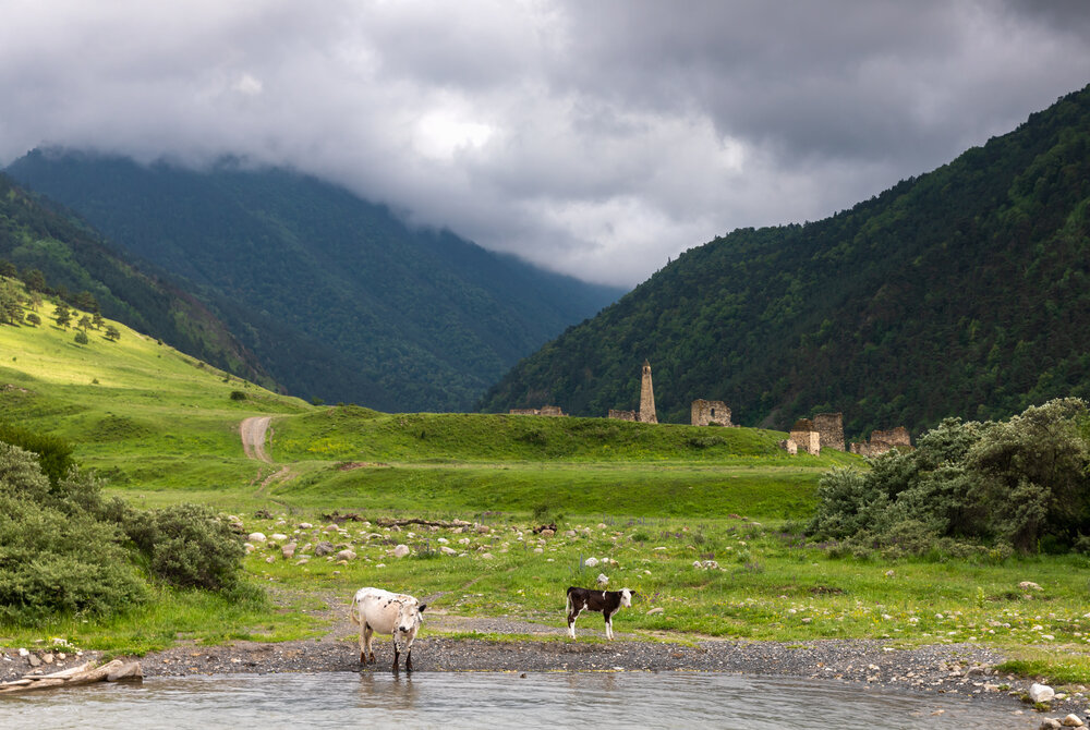 Photograph by Евгения Чех