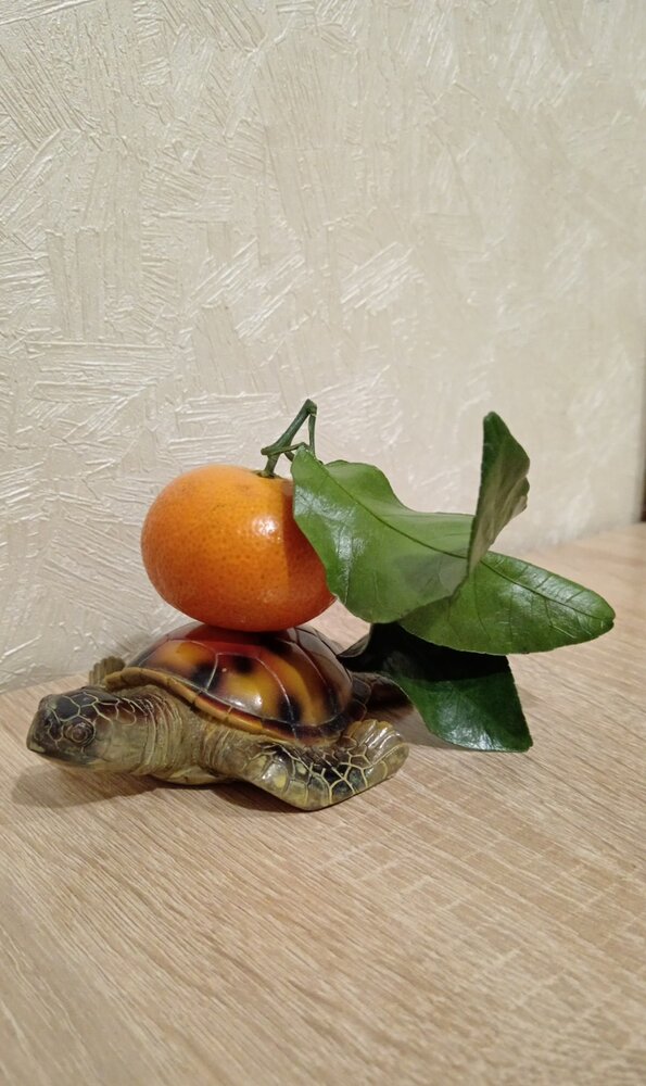 Photo #13996979