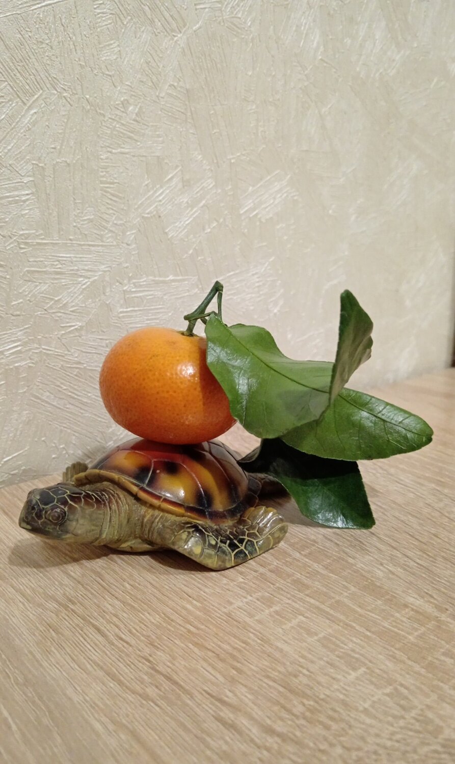 Photo #13996979