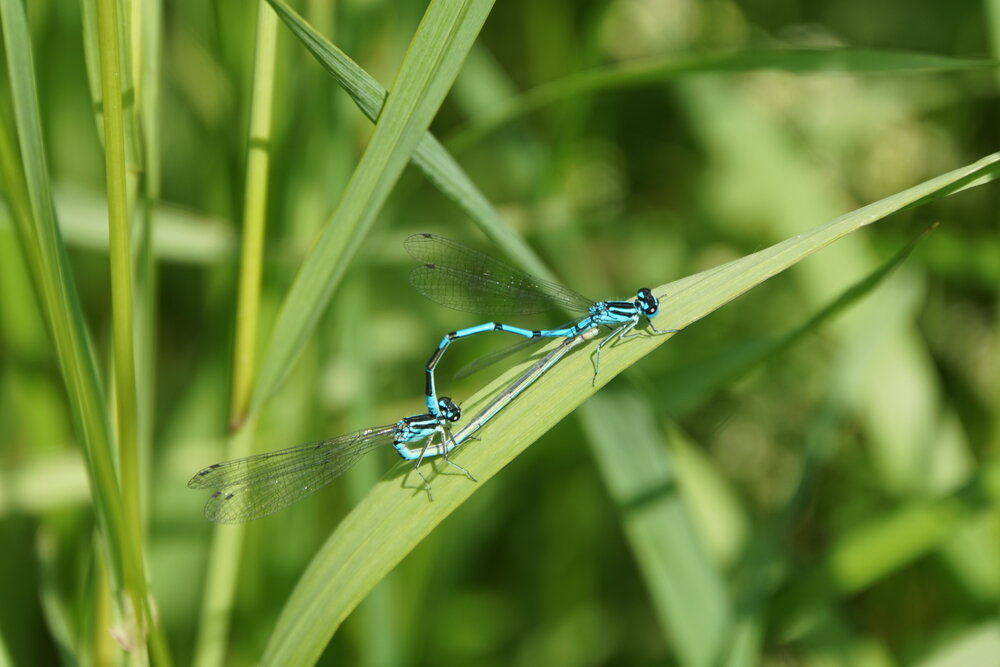 Photograph by сергей мишаков