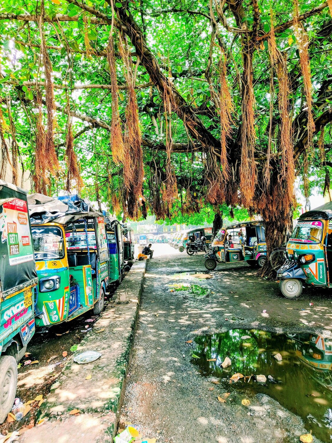 Between Roots & Roads