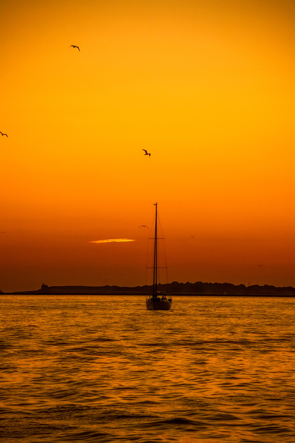 Between Fire and Sea