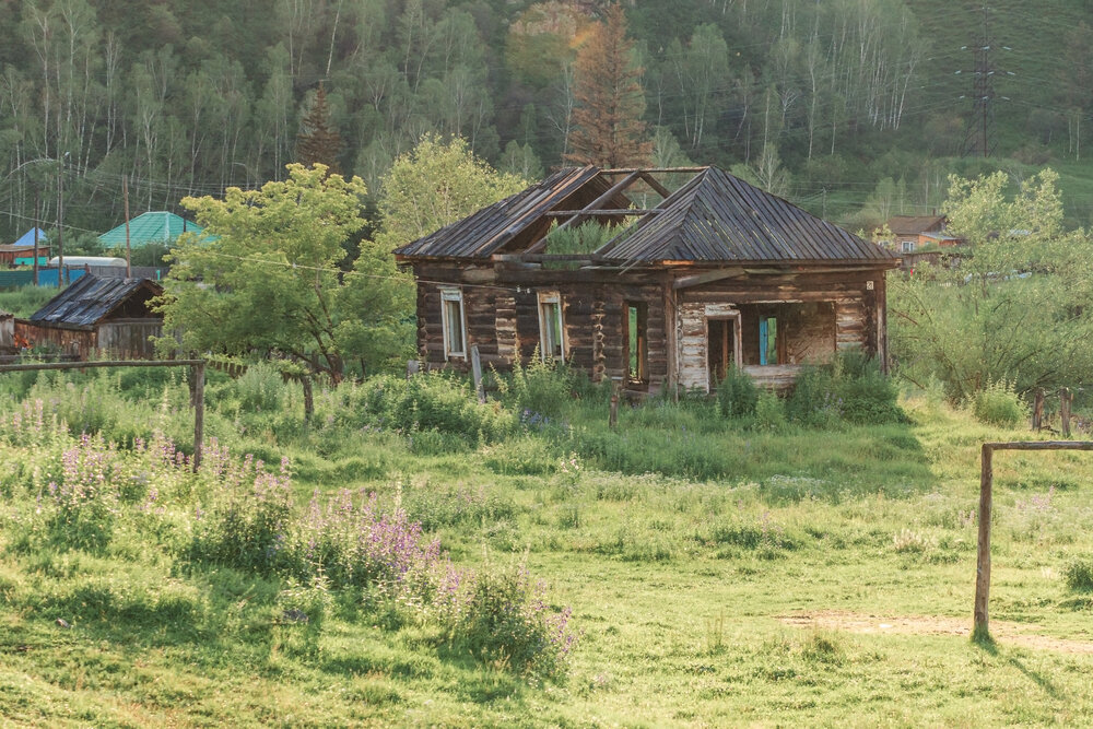 Фотография автора Галина Шепелева