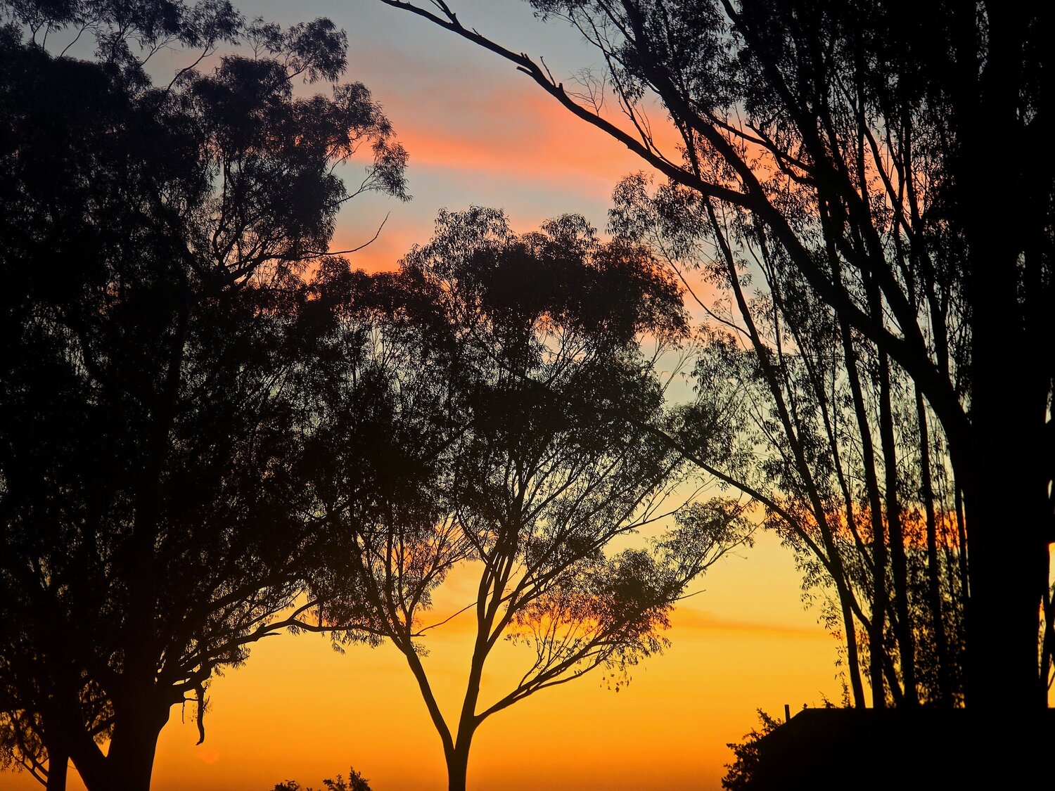 Photo #13997296