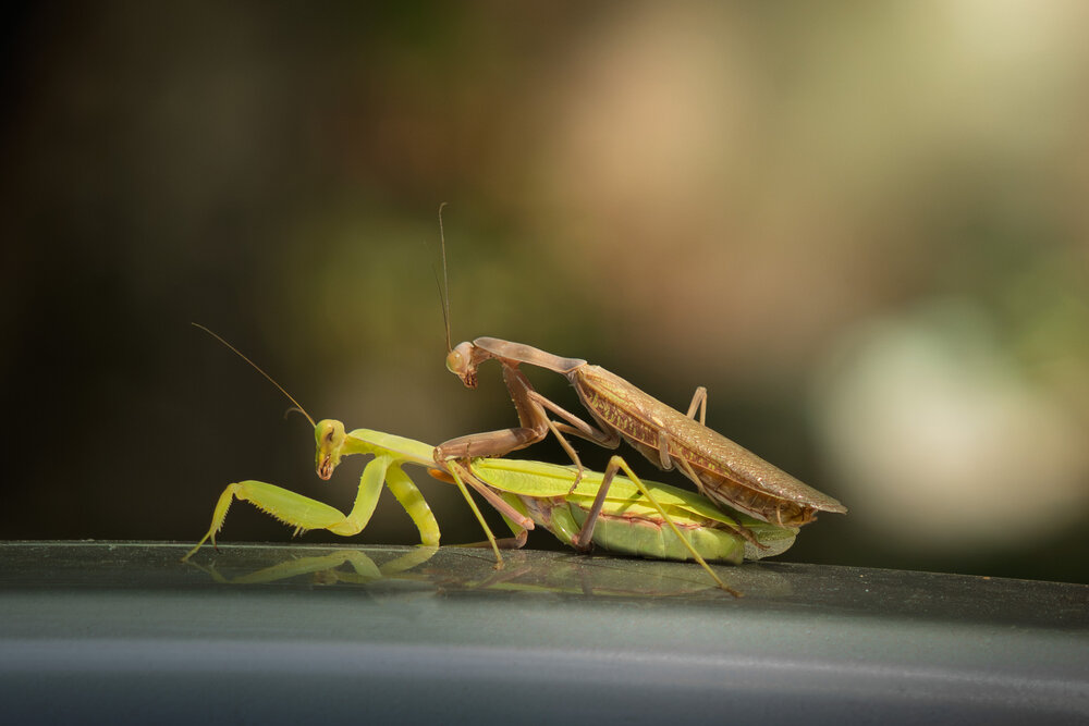 Photograph by Ilya Avtaykin