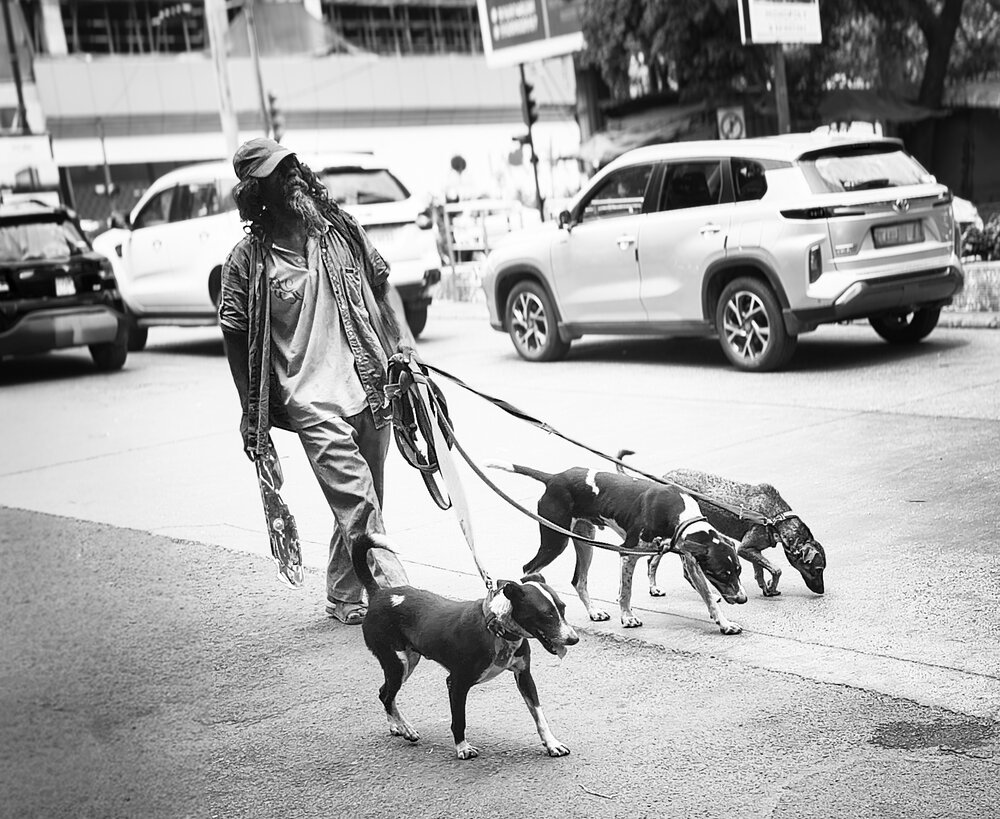 Pack Leader