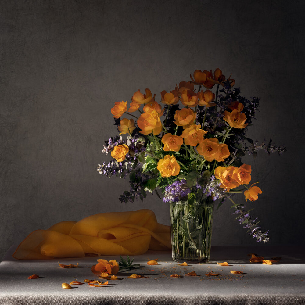 Photograph by Елена Овчинникова