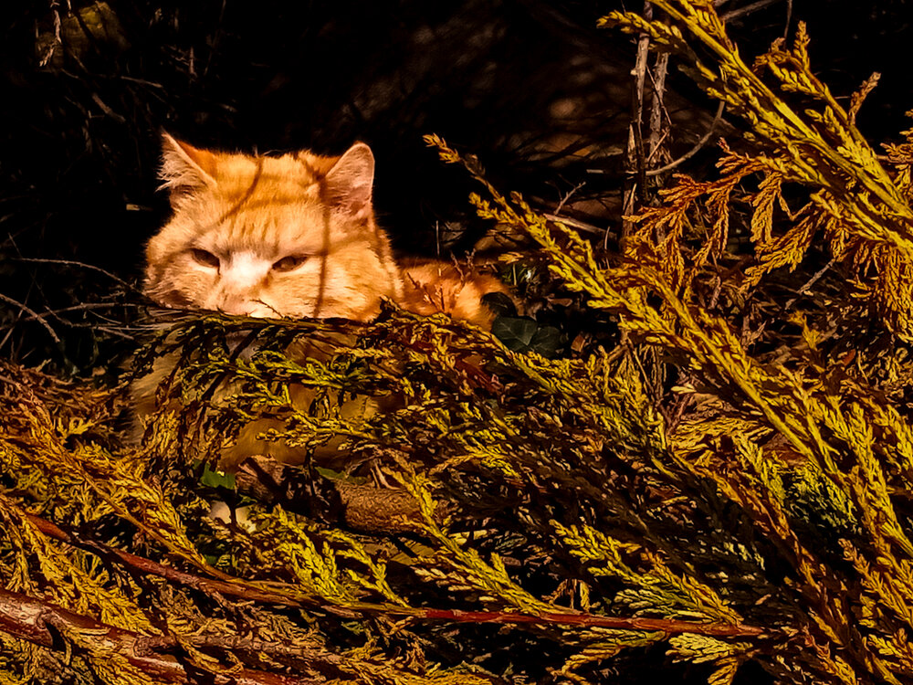 Photograph by Lydia Hebras