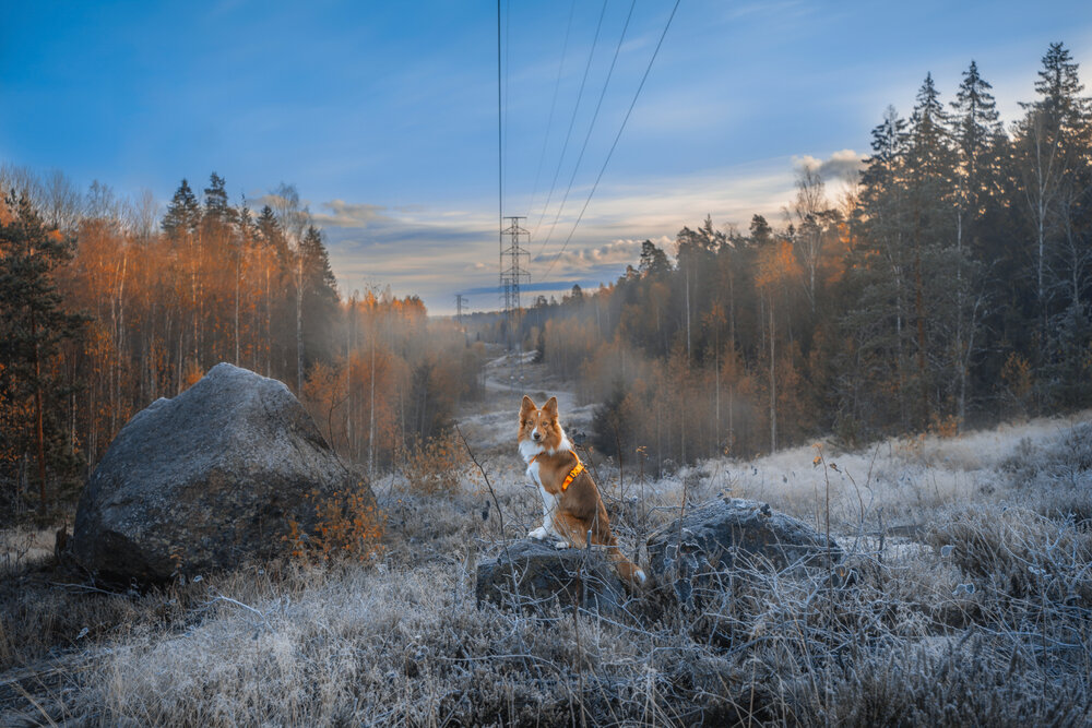 Photograph by Mighty Obscurant