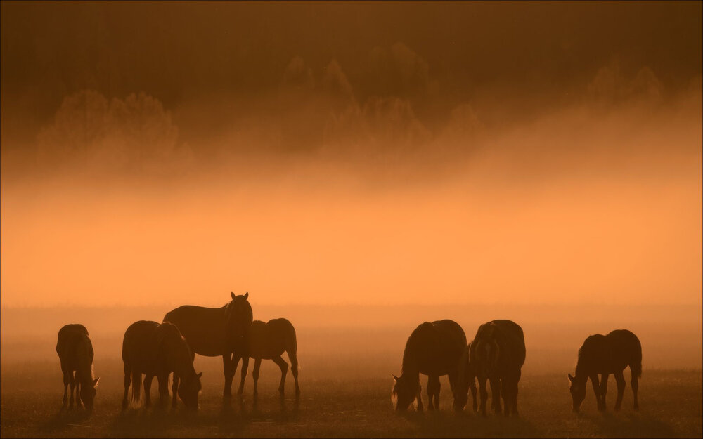 Photograph by Влад Соколовский