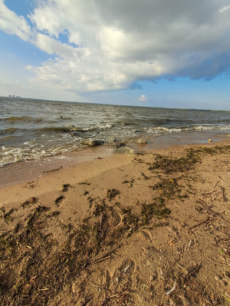 Photograph by Айгуль