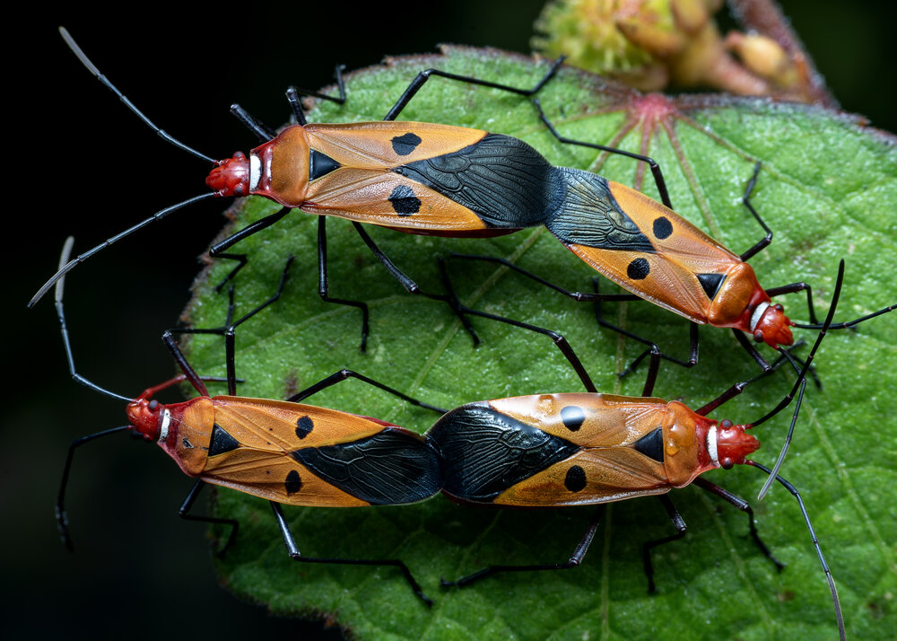 Photograph by Utpal Sarker