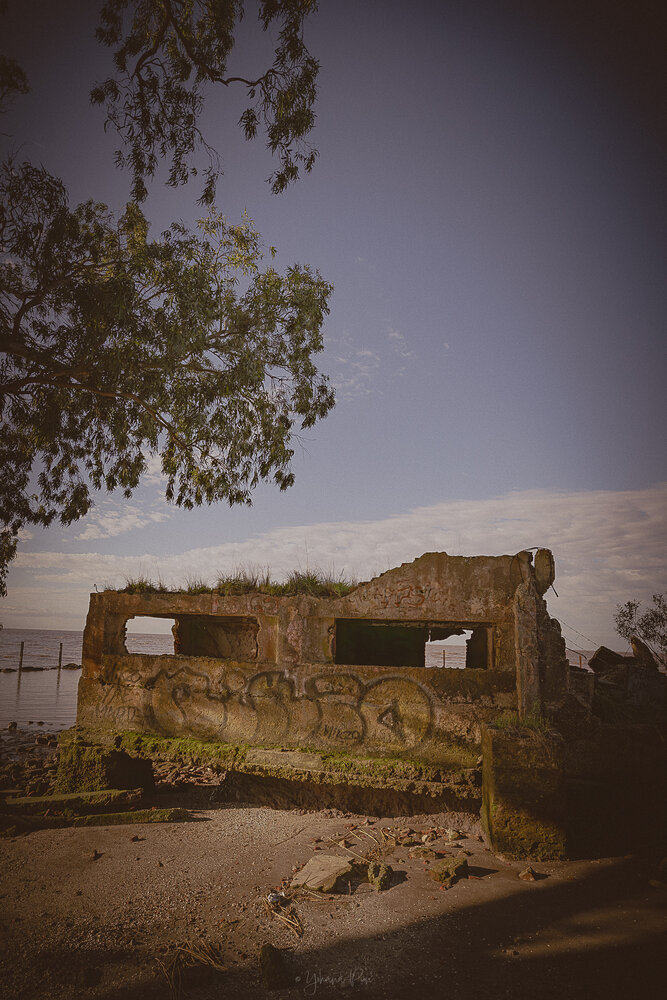 Photograph by Yohana
