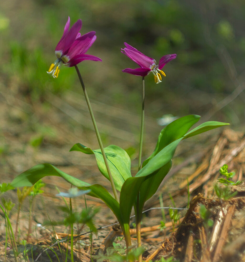 Photograph by Александр Жариков