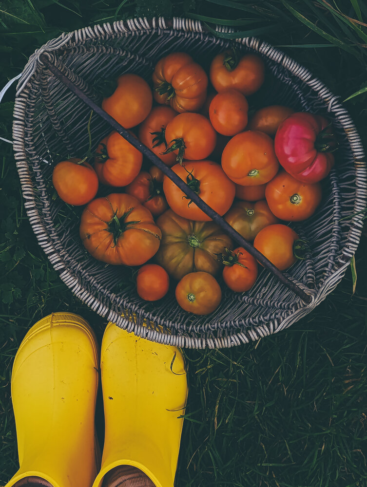 Photograph by Yulia Chupina