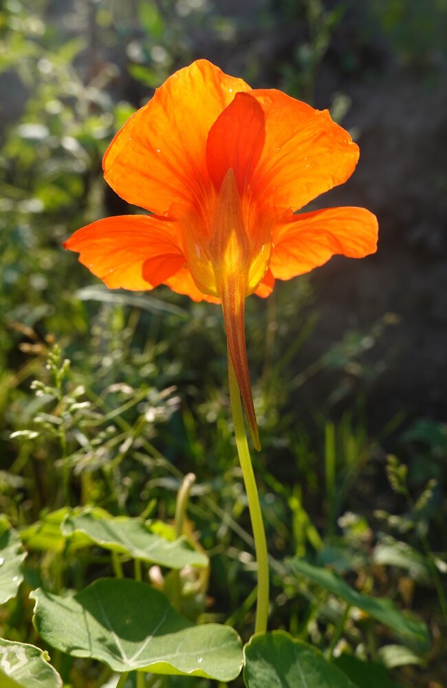 Photograph by Ионова Татьяна