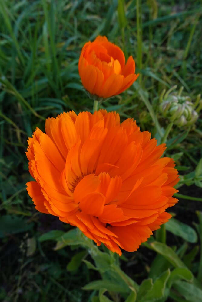Photograph by Ионова Татьяна