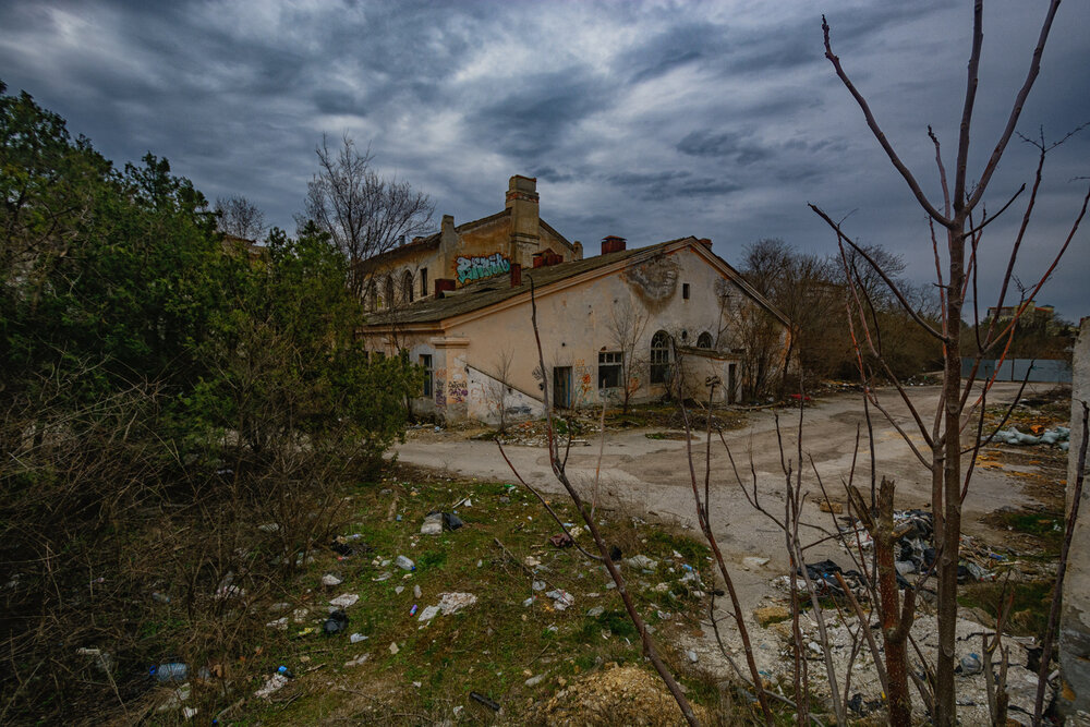Photograph by Владимир Гамаюнов