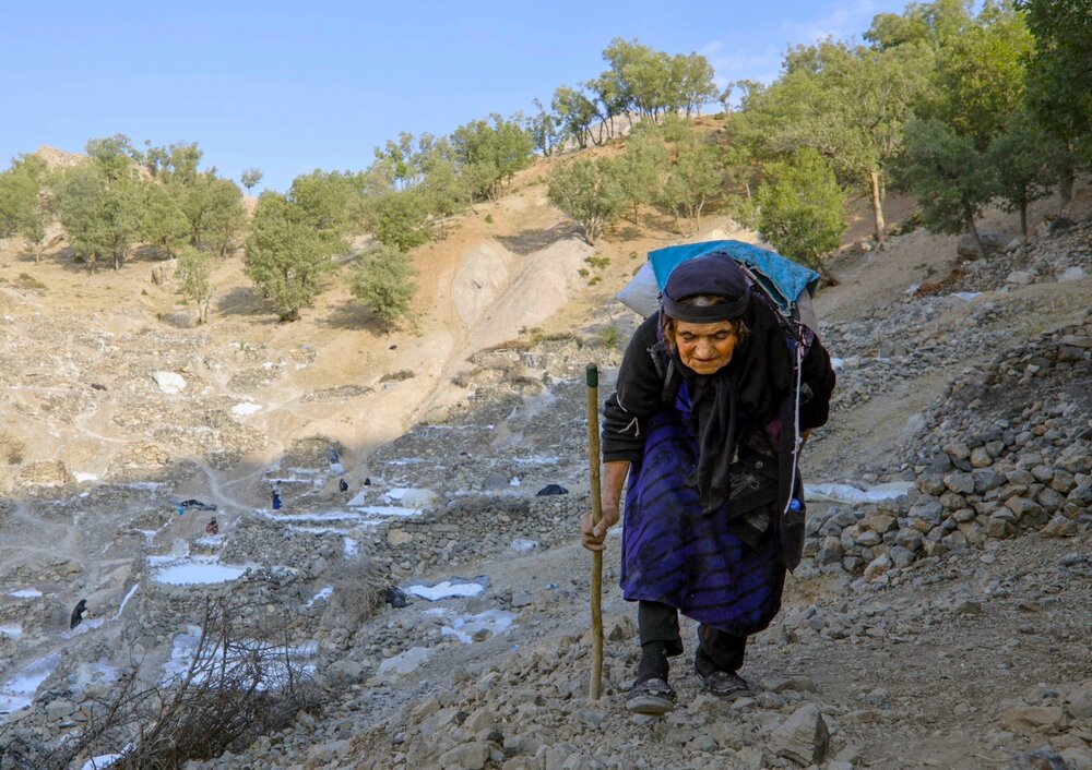 Photograph by Ali Razaviyan