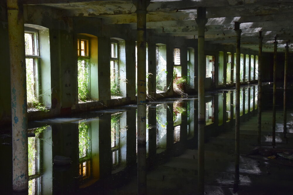 Photograph by Dimon Grinih