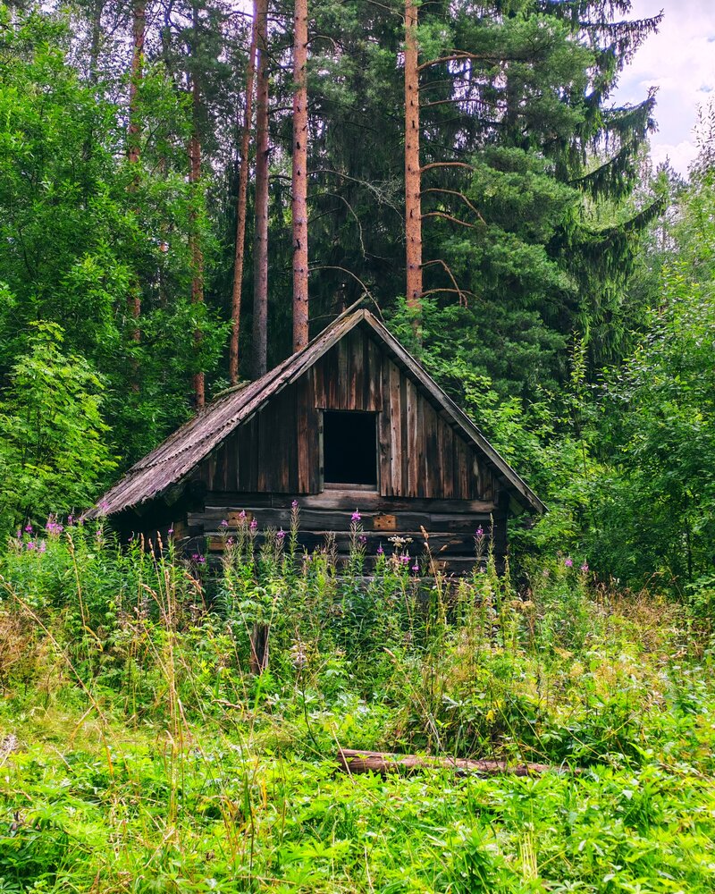 Photograph by Вероника Крючкова