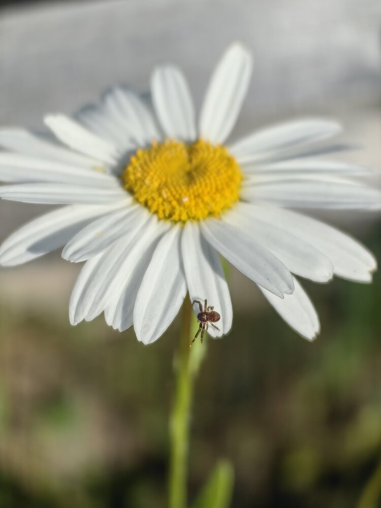 Photograph by Ольга Попова