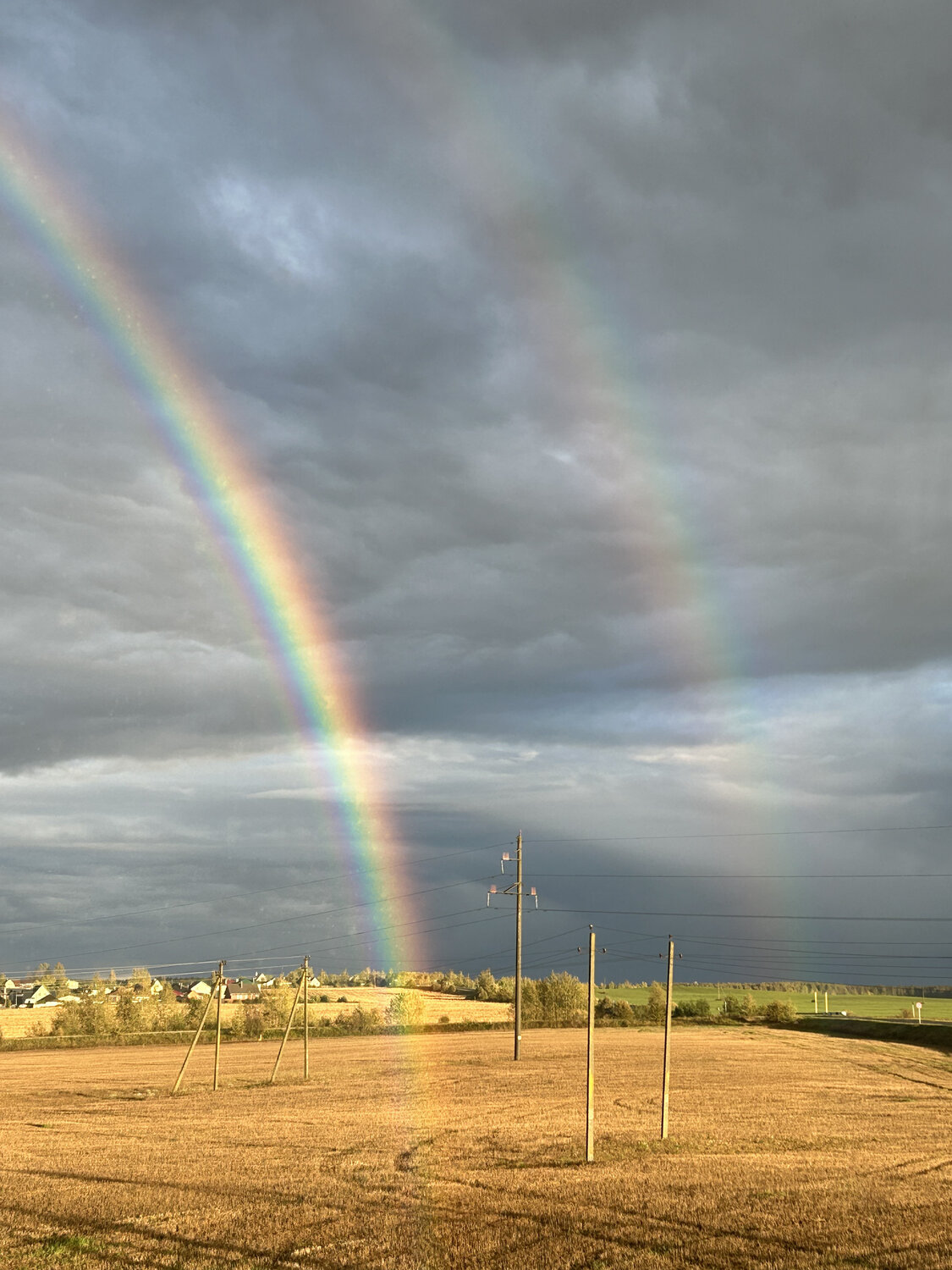 Photo #13998082