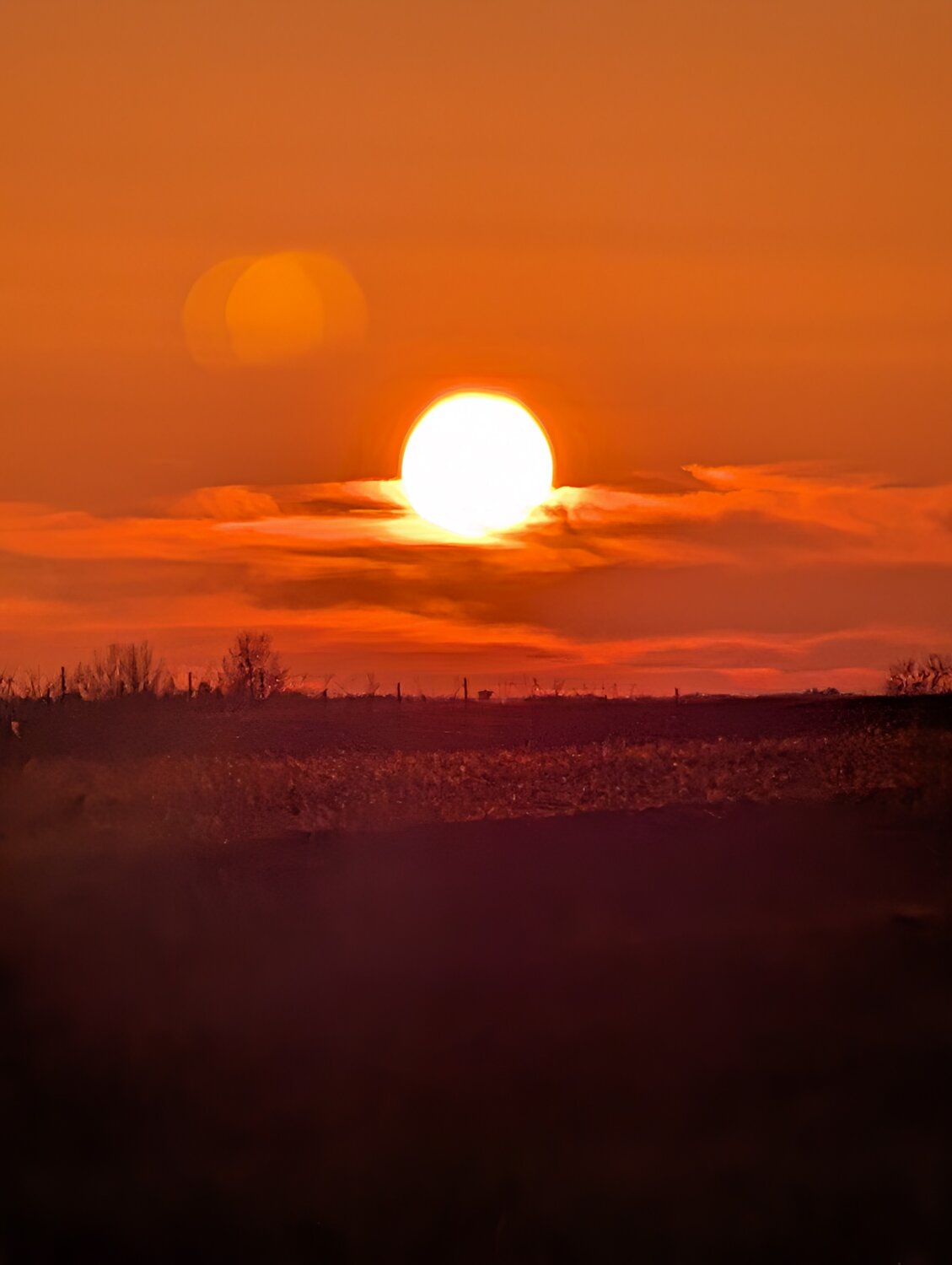 Photo #13998096