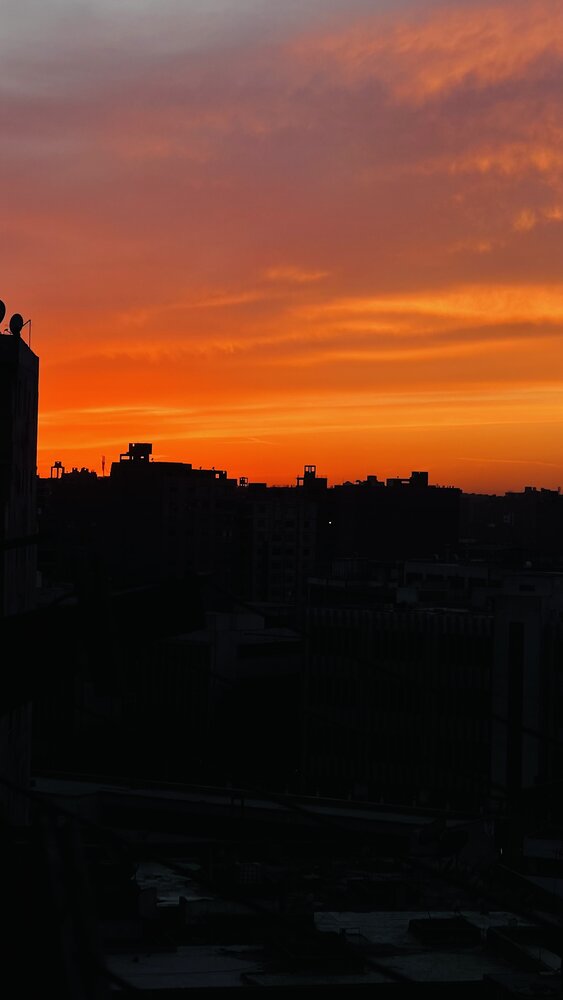 Photograph by Sarrah Yehia