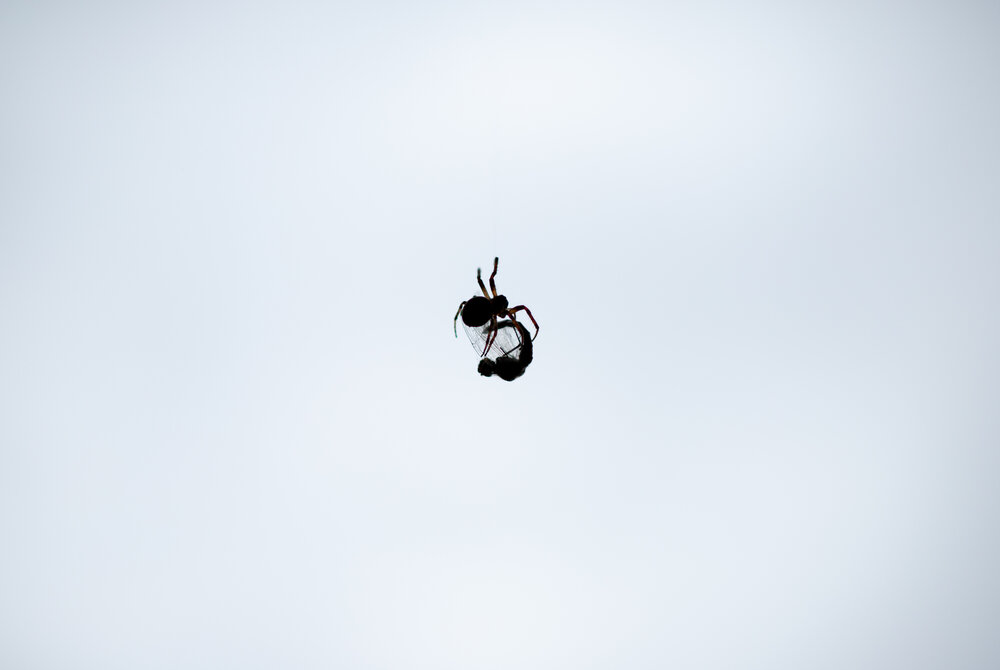 Photograph by Татьяна Толстая