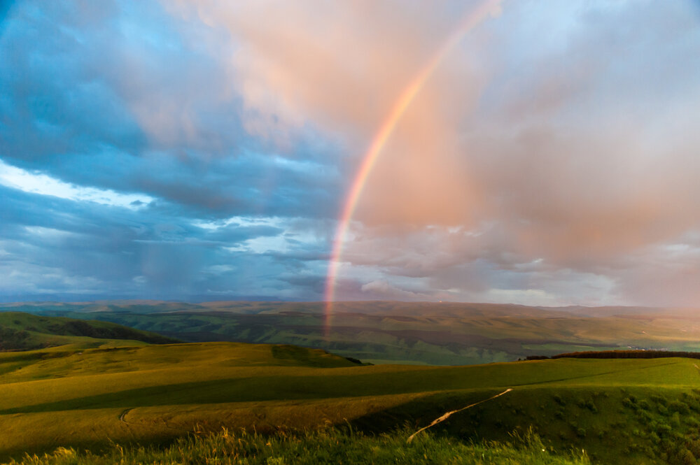 Photograph by MAXIM BONDAREV