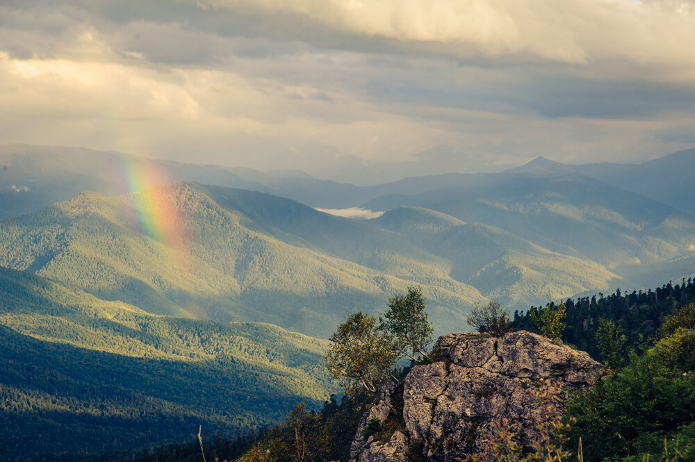 Photograph by MAXIM BONDAREV