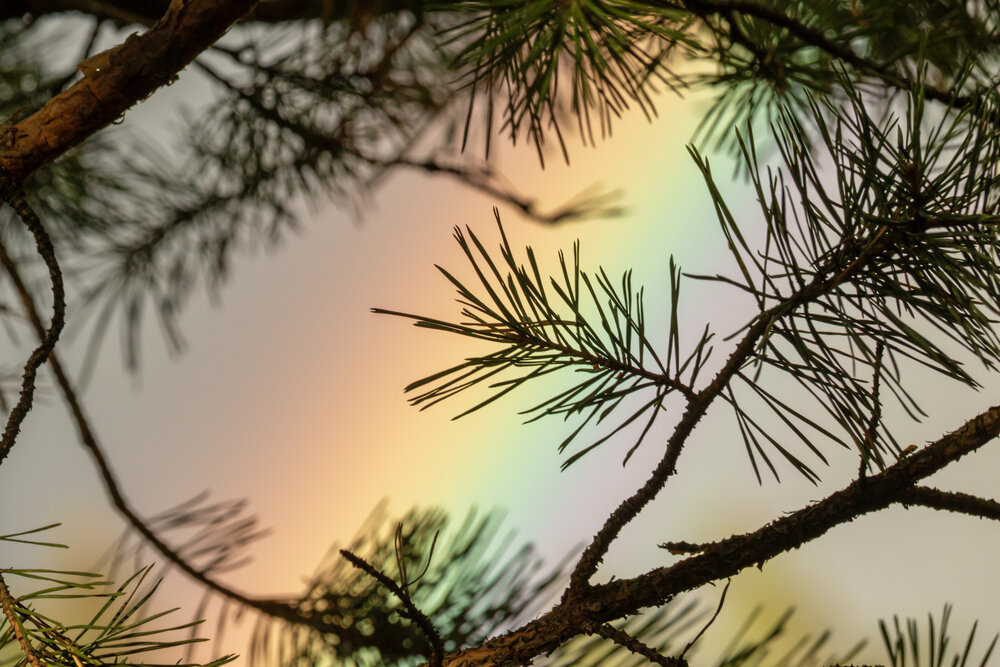 Photograph by Юлия Куликова