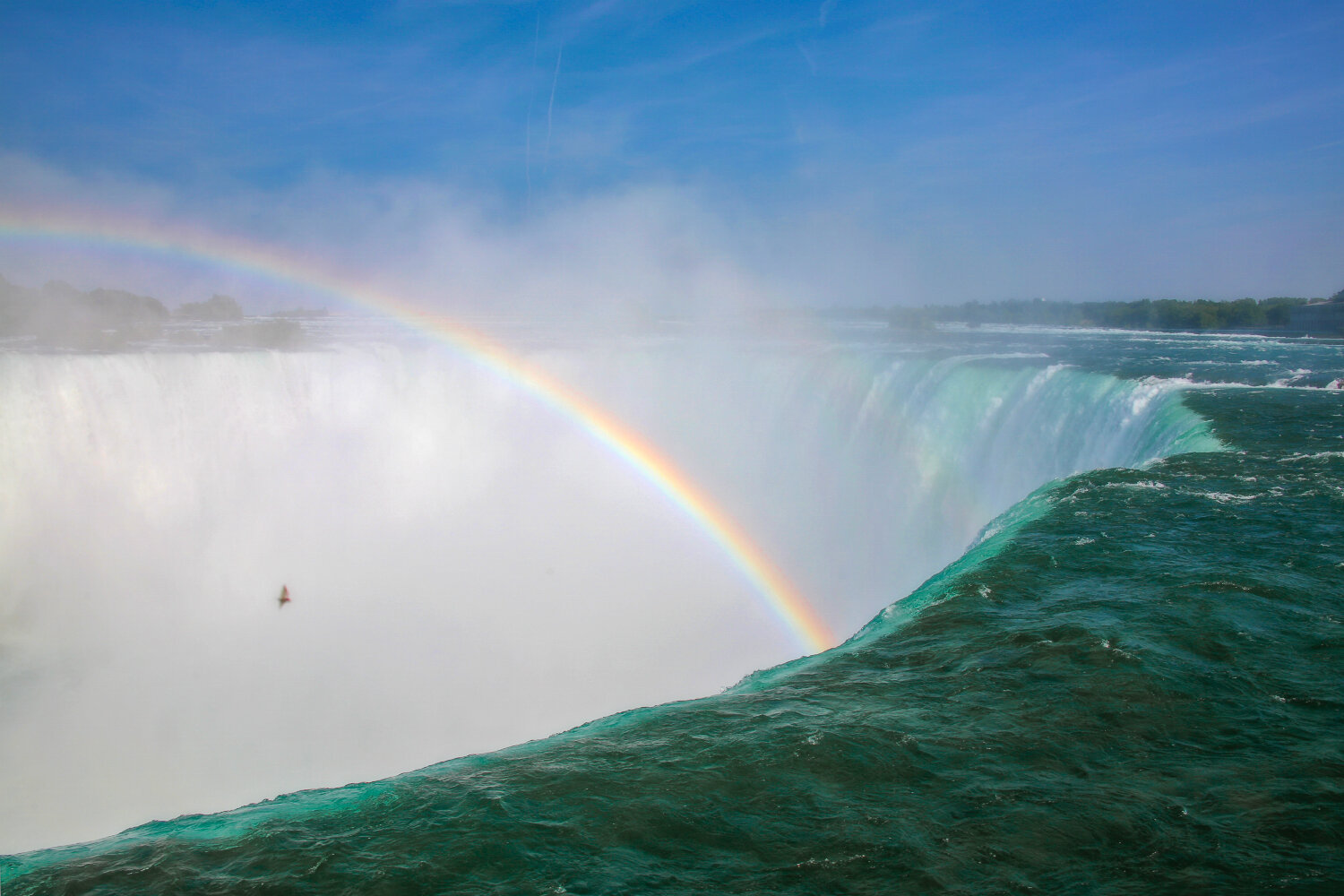 Photo #13998355
