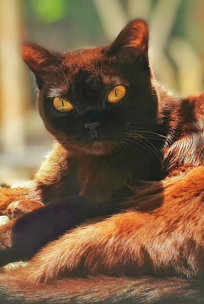 Photograph by Дмитрий Сорокин