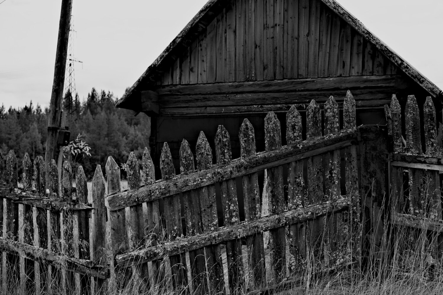 Photo #13998364