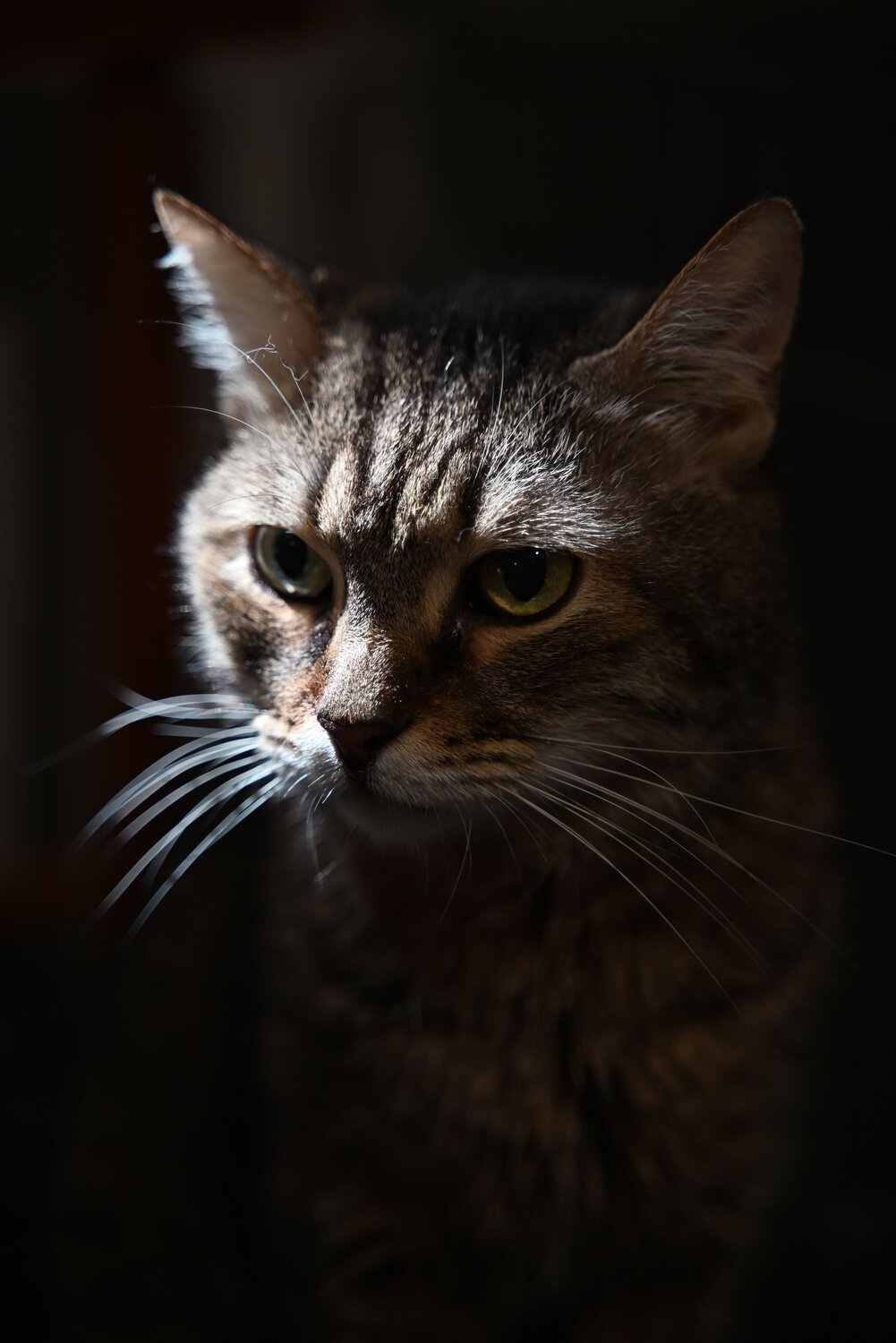 Photo #13998419
