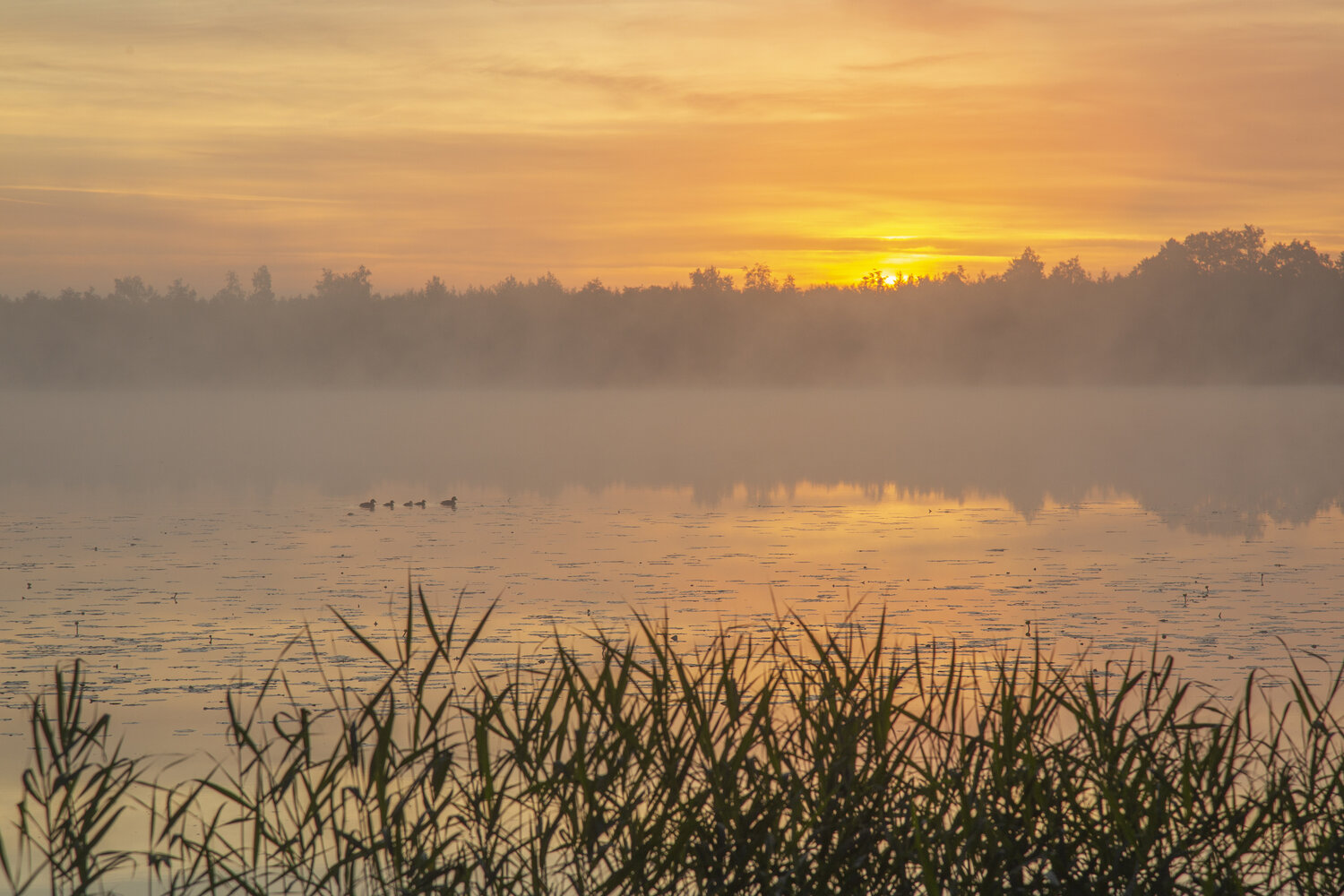 Photo #13998544