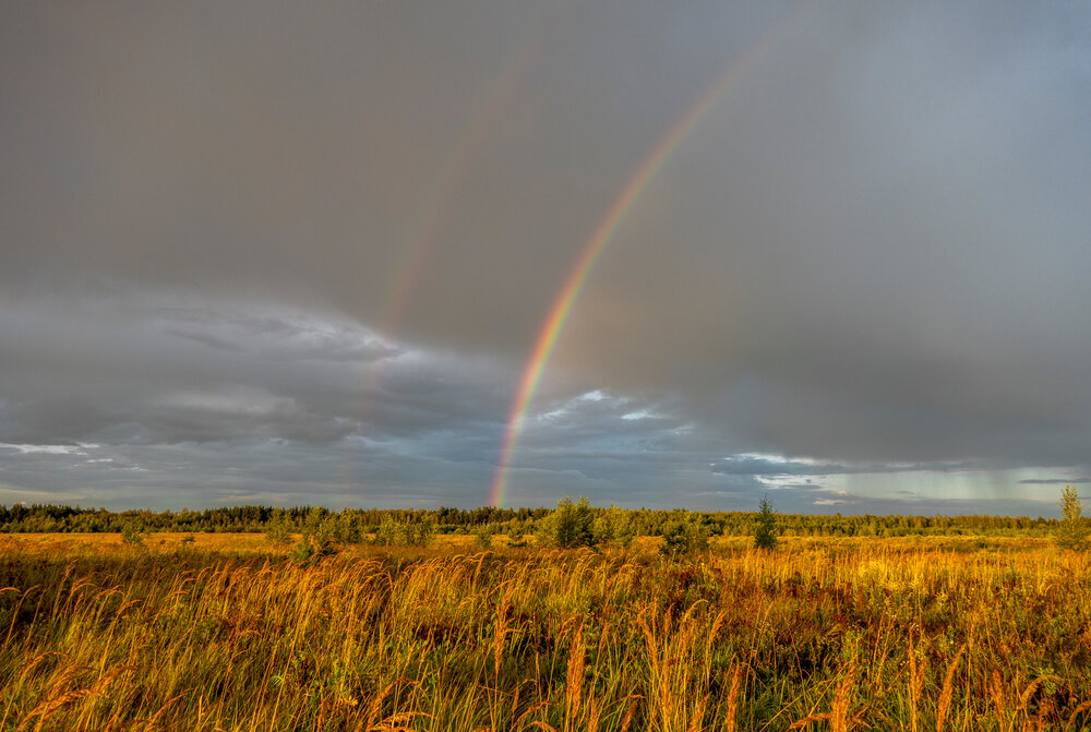Photograph by АНДРЕЙ АБАКУМОВ
