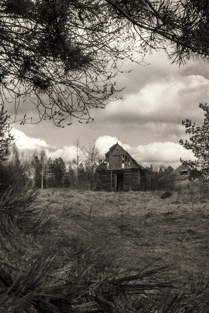 Photo #13998598