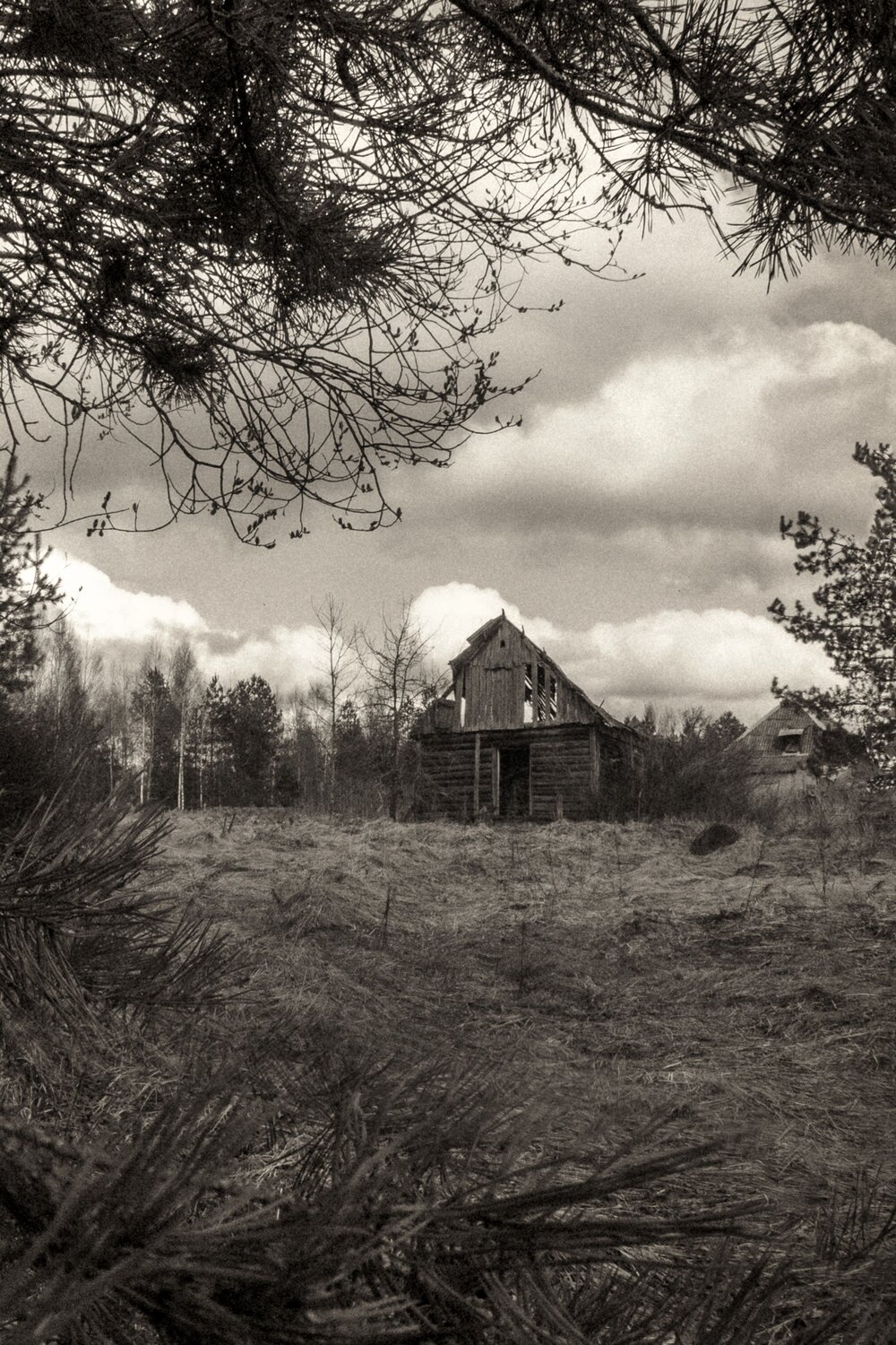 Photo #13998598