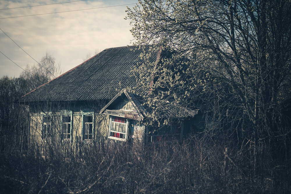Photograph by Марина Пехтерева