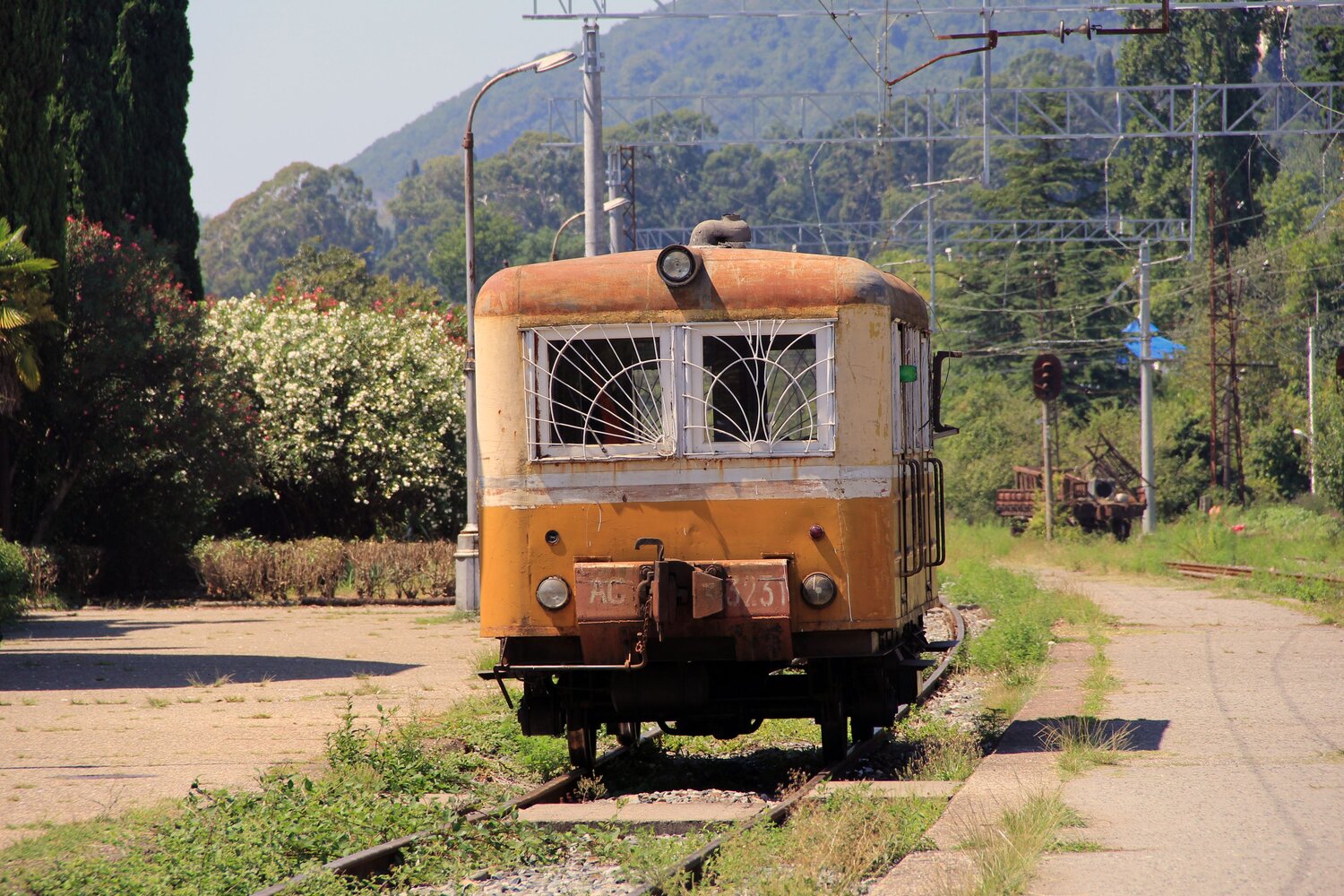 Photo #13998613